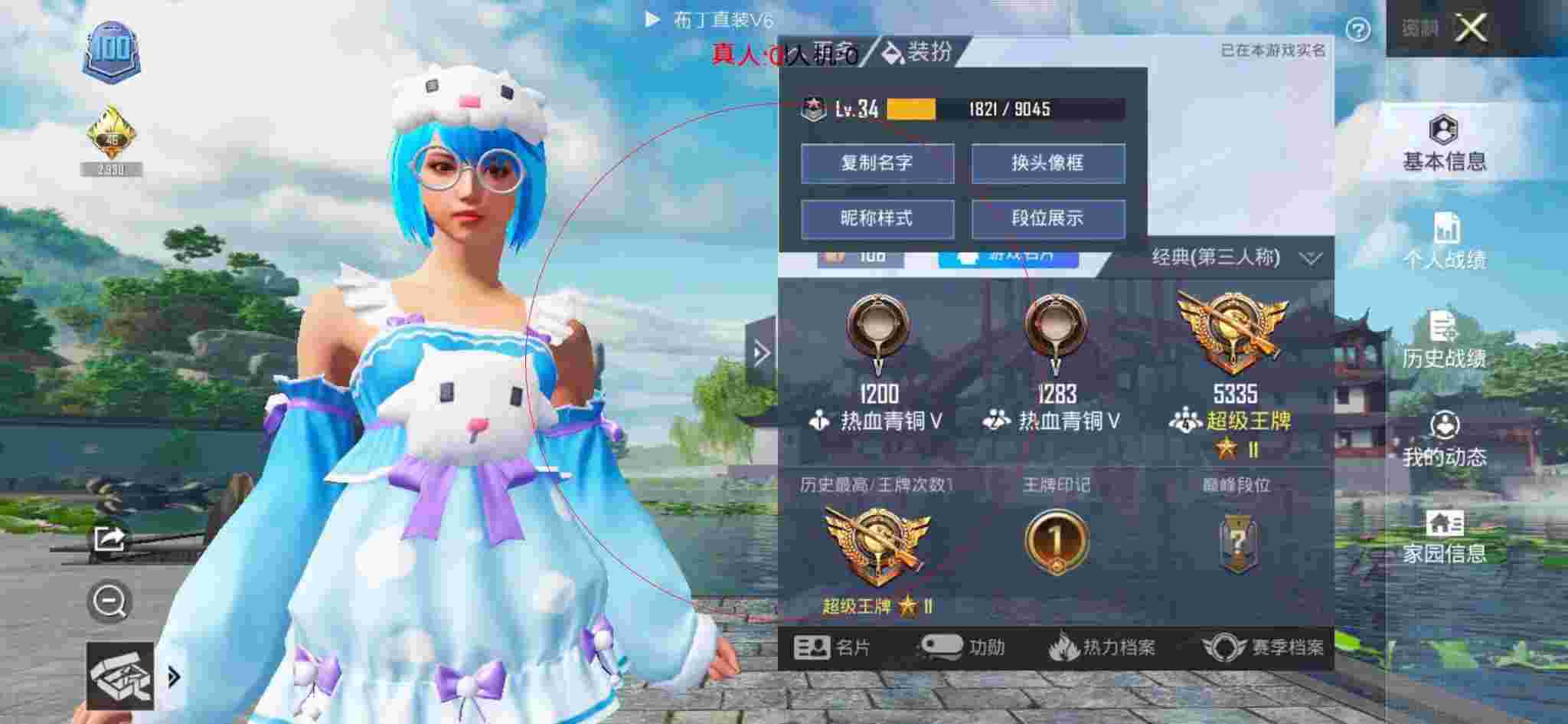 和平精英布丁直装透视 - 和平精英小狗狗图片辅助预览图